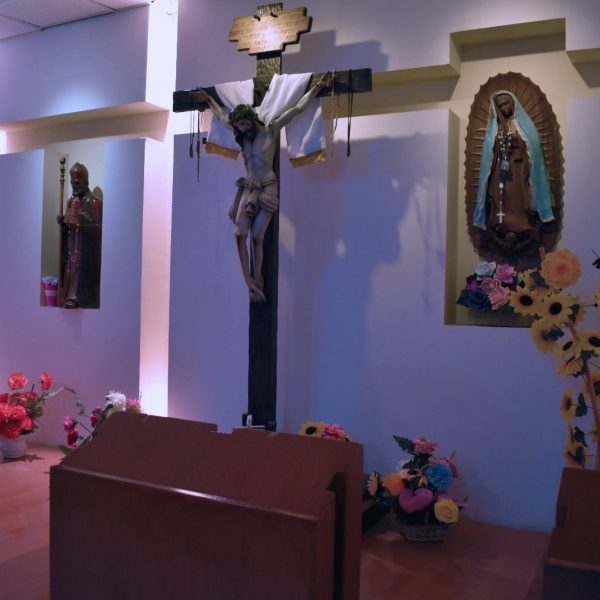 WhatsApp Image 2024-06-27 at 2.12.18 PM (1)